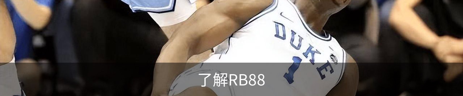 了解RB88